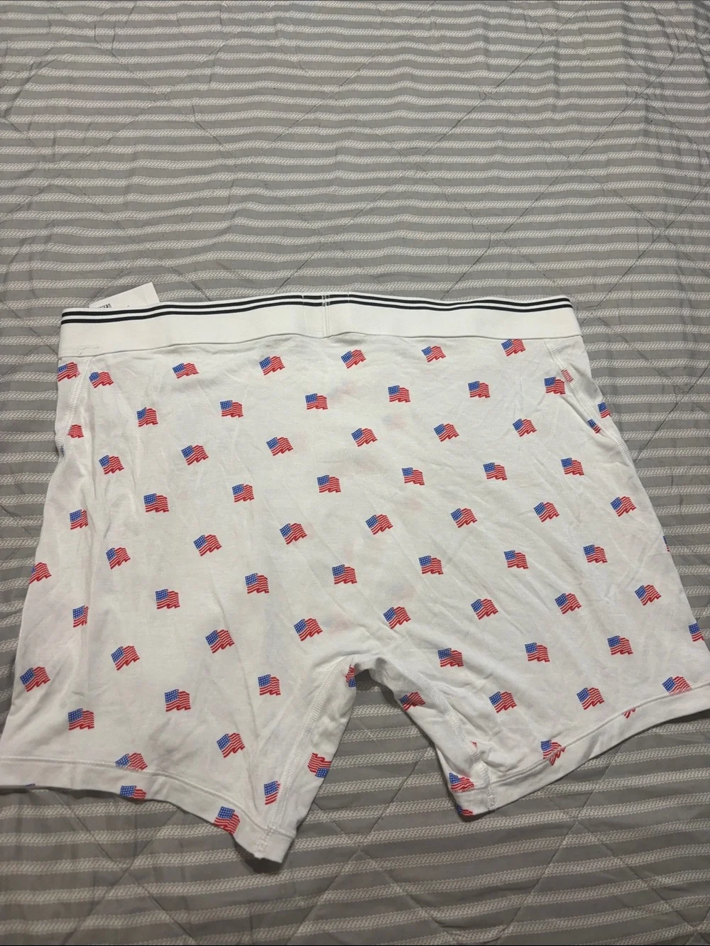 American Eagle Outfitters White Boxer Briefs with Red & Blue Flag Motif
